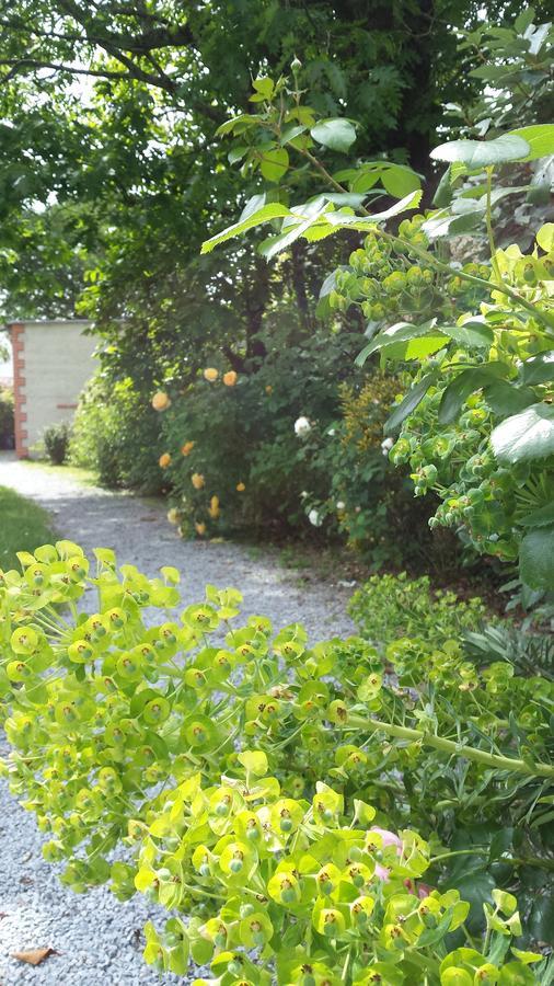 La Clef Du Bonheur Panzió Le Loroux-Bottereau Kültér fotó