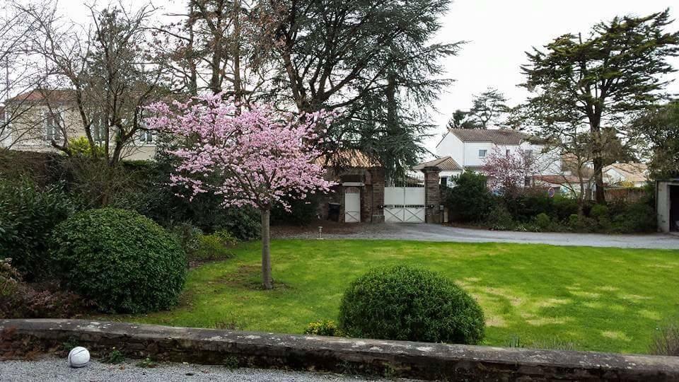 La Clef Du Bonheur Panzió Le Loroux-Bottereau Kültér fotó