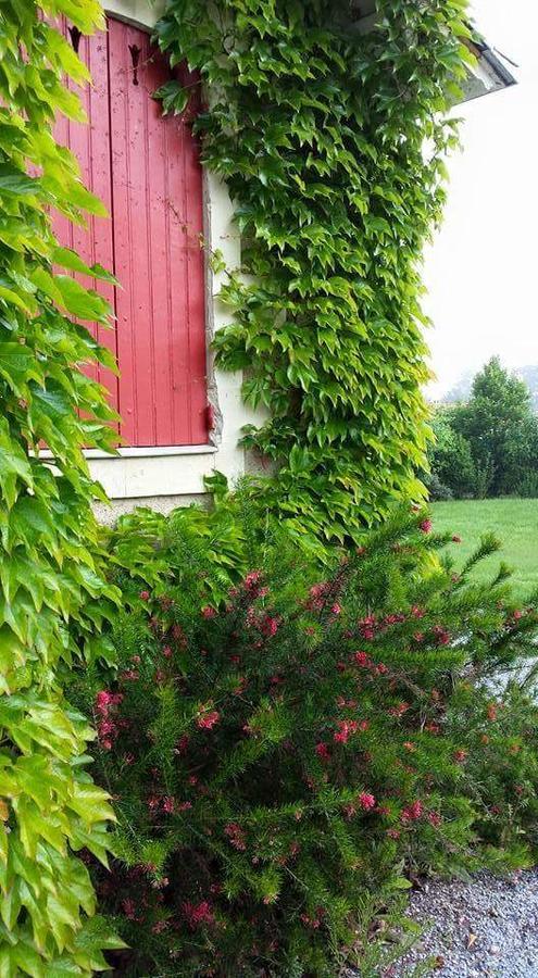 La Clef Du Bonheur Panzió Le Loroux-Bottereau Kültér fotó